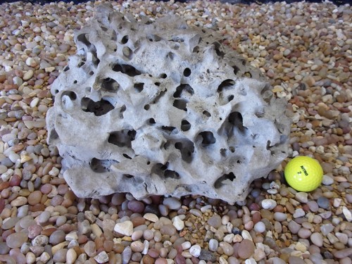 Texas holey rock - 18#, texas/tn