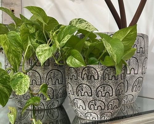 Large garden planter cachepot - large,