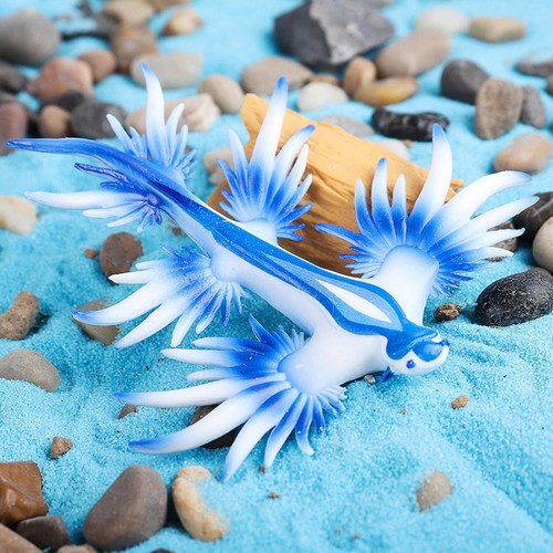 Simulation sea slug - sea,