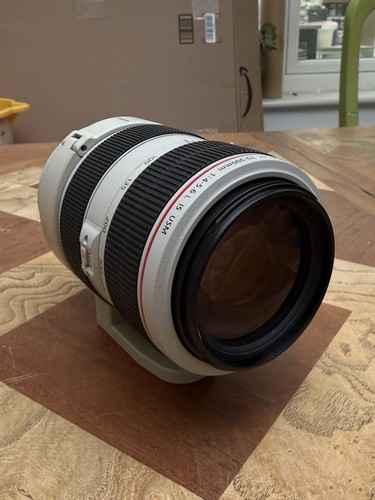 Canon 300mm 5 6 - f/4-5.6, l