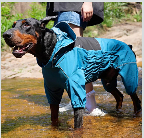 Waterproof blue full body dog - waterproof,