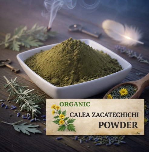 Calea zacatechichi herb fine - zacatechichi,