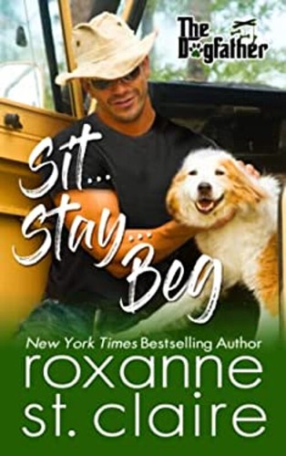 Sit stay beg - beg, paperback