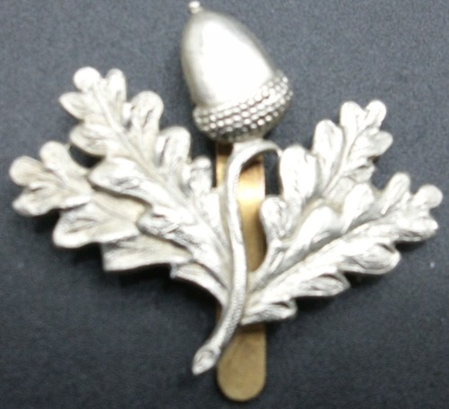 South nottinghamshire hussars - south,