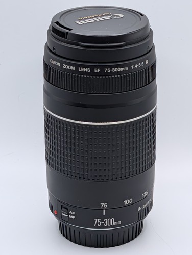Canon 300mm 5 - f/4.5-5.6, iii