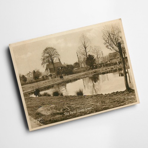 Print vintage surrey - a6,