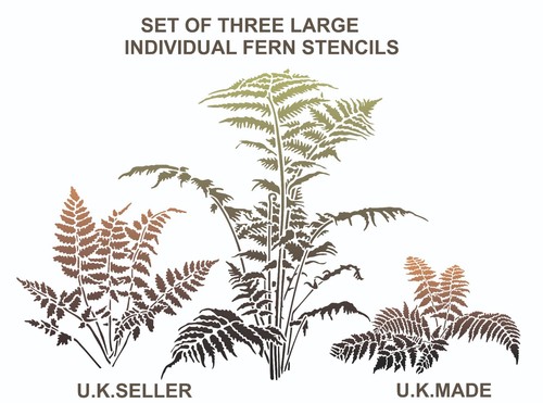 Set large fern - 3,