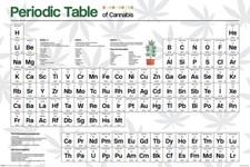 PERIODIC TABLE OF CANNABIS 91.5 X 61CM MAXI POSTER 