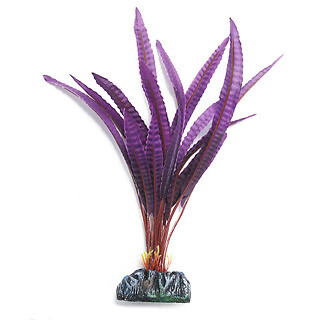 Betta choice 30cm silk crypto - betta,
