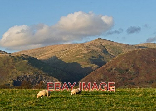 Photo farmland near - ,