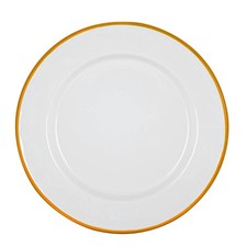 White Enamel Dinner Plates