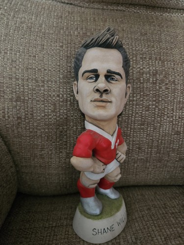 Shane williams limited edition - shane,