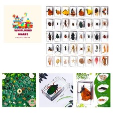 Lightweight 40-Piece Insect