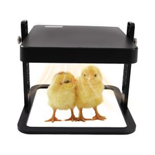 15 Chick Brooder/Heat Plate -
