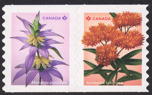 2024 canada wildflowers - canada,
