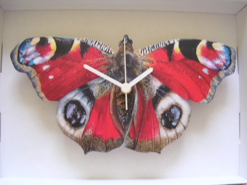 Butterfly wall clock breeds - wall, clock.12