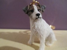 JACK RUSSELL BROWN & WHITE