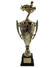 Personalised Large Go Kart