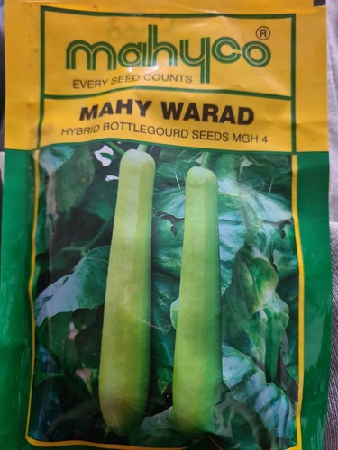 Asian vegetables long bottle - vegetables,