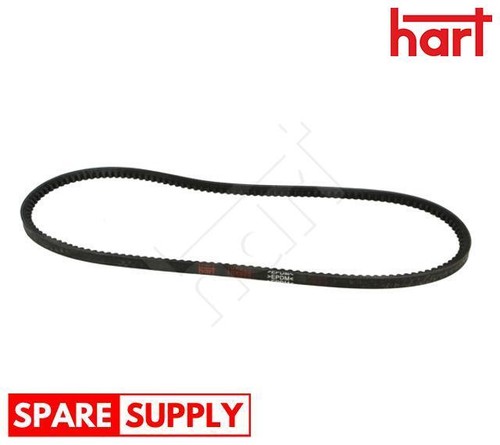 Belt for iveco - v-belt,