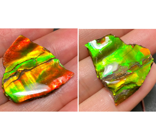 Canadian double sided - canadian, ammolite