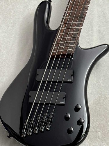 Spector dimension 5 - hp,