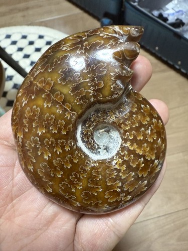 Beautiful super large - super,