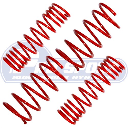 Pro sport lowering - lowering, springs