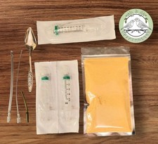 Baby bird parrot  budgie Hand