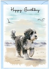 Tibetan terrier dog birthday - tibetan,