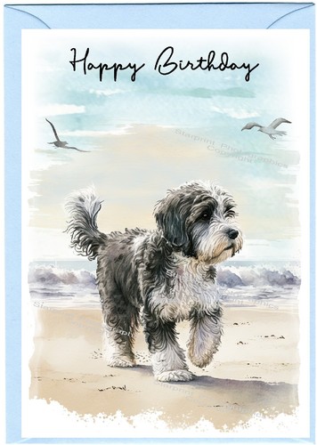 Tibetan terrier dog birthday - terrier,