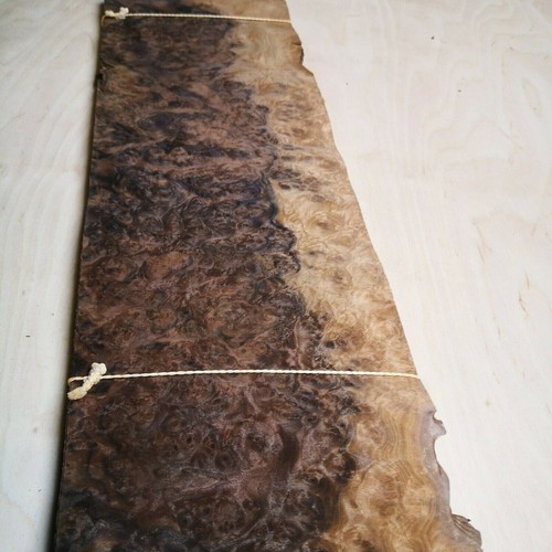 Burr burl walnut - ,