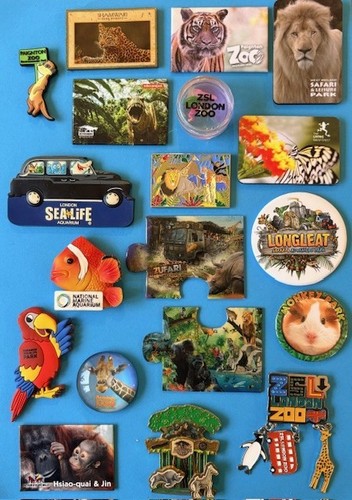 Souvenir fridge magnet zoo - -, zoo/