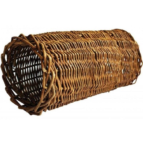 Willow tube nature - willow,
