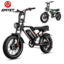 AMYET 2000W 25AH 20" Fat Tire