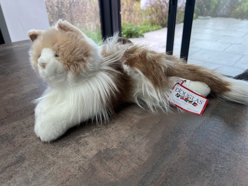 Douglas kiki ragdoll - douglas,
