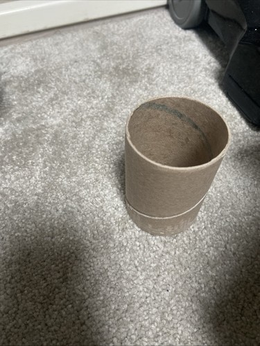 100 large empty - toilet, roll