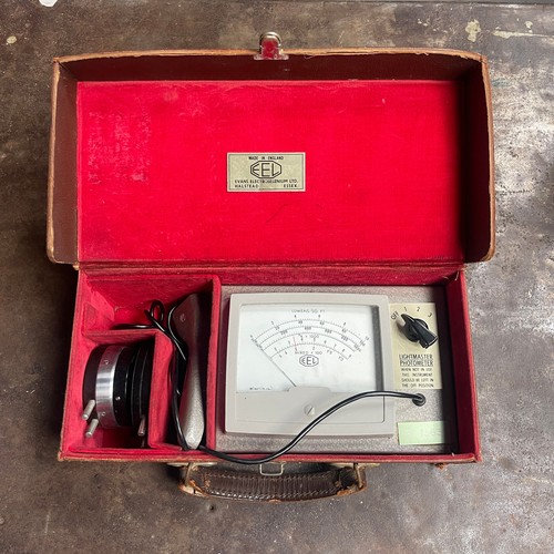 Vintage eel evans - vintage, (evans