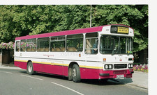 Midland red duple - midland,