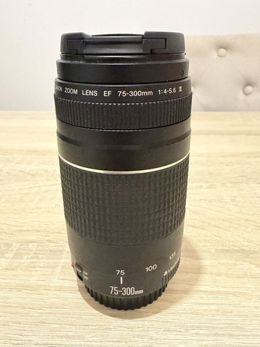 Canon 300mm 5 6 iii - f/4–5.6,