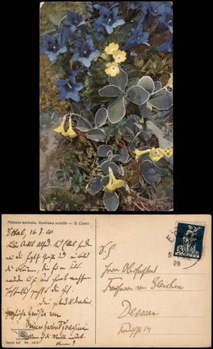 Postcard alpine flora - , botany