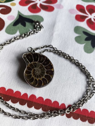 Genuine vintage ammonite - vintage,