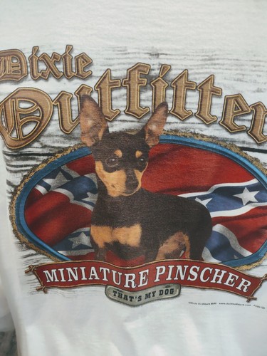 Miniature pinscher dixie - miniature,