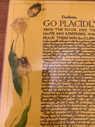 Poem desiderata 18 - poem,