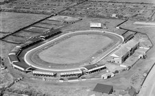 Wales Old Photo Greyhound