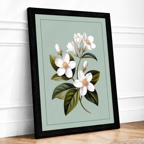 Flowering stem study - flowering, botanical