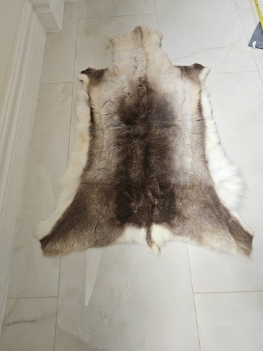 Norwegian reindeer skin fur - norwegian,