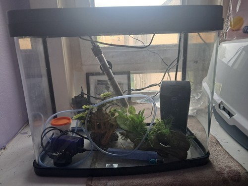 Love panorama fish tank - fish,