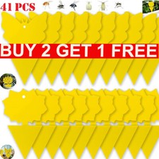 41X Fly Catchers Window Flower