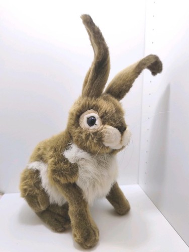 Hansa jack rabbit sitting - hansa,